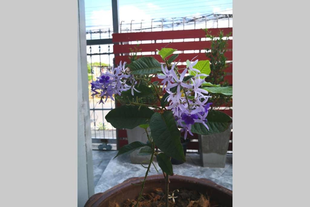 Bluebell House Hatyai - Cosy 3 Bedrooms For 10 Pax - 9 Mins Drive To Lee Grd Ban Kho Hong Eksteriør bilde